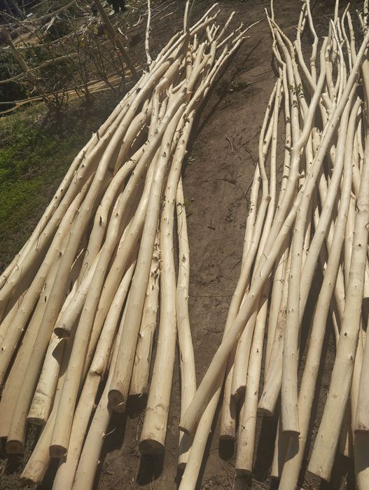 Совит хадалари сотилади ириси 25 мингдан медаси 15 мингдан