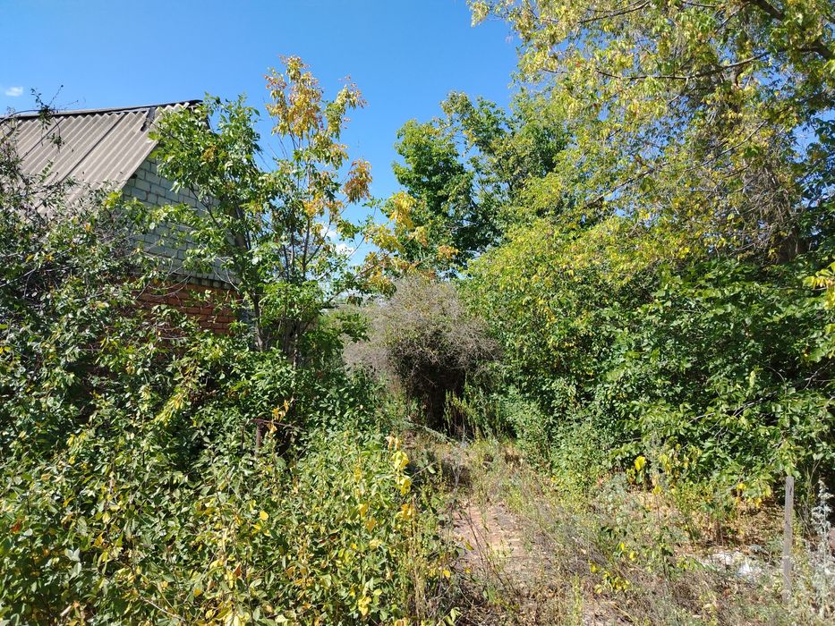 Продам дачу (район 1ая дачная)