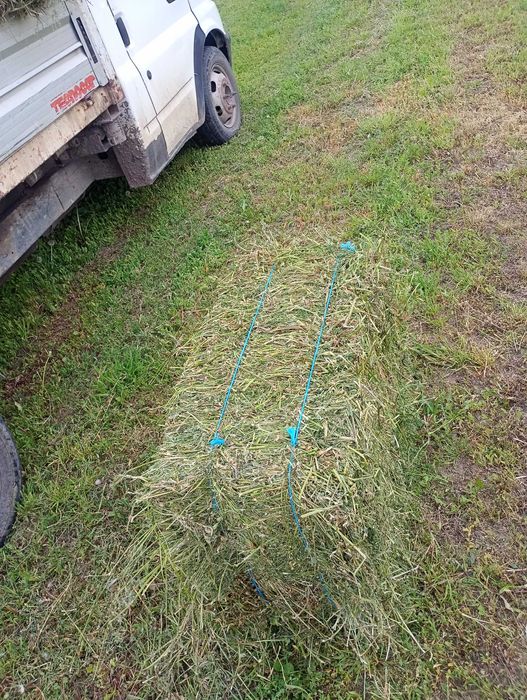 Baloți lucernă.