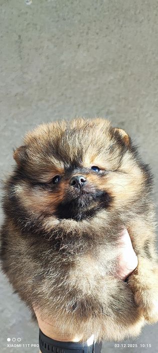 Момчета и момичета