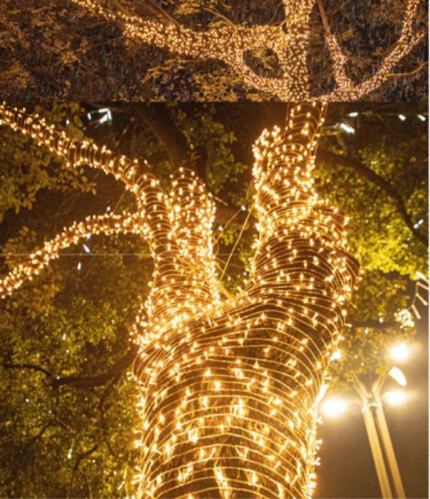 Instalație exterior de Crăciun