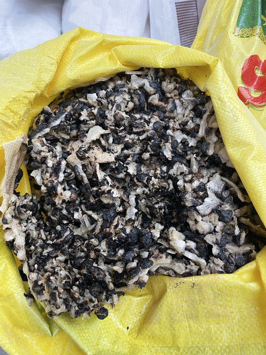 Mol qoy ot uchun athot