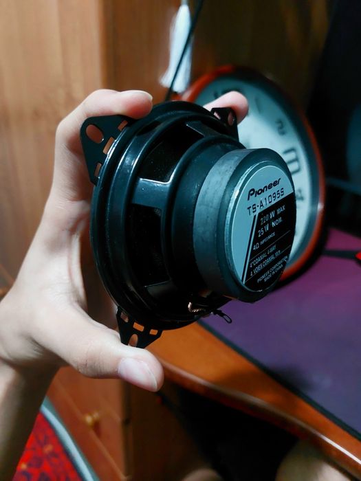 Динамики TS-A1095S