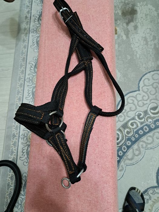 Жуген нокта сатылады