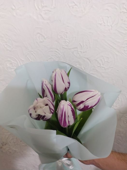 Тюльпаны красивые