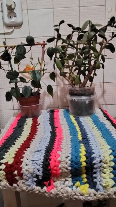 Цветов много, все хорошие