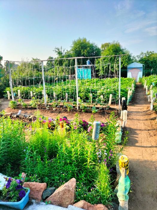 Продам дачу на Беловке