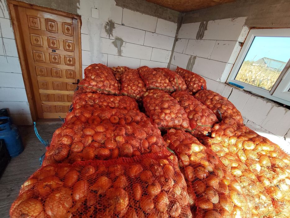 Ceapa de vanzare