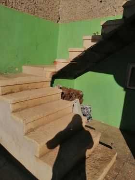 Продава се Къща в с. Горско Абланово, Област Търговище - 100 кв.м за 128 €/кв.м - Снимка #7