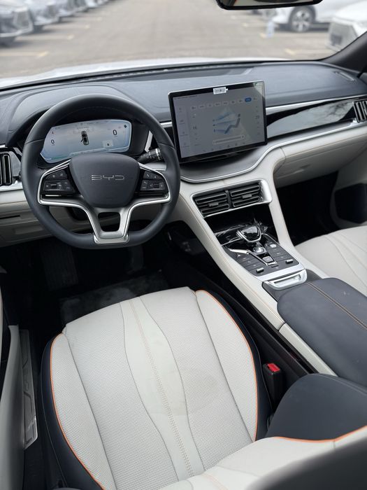 Byd flagship 110 rasrochka