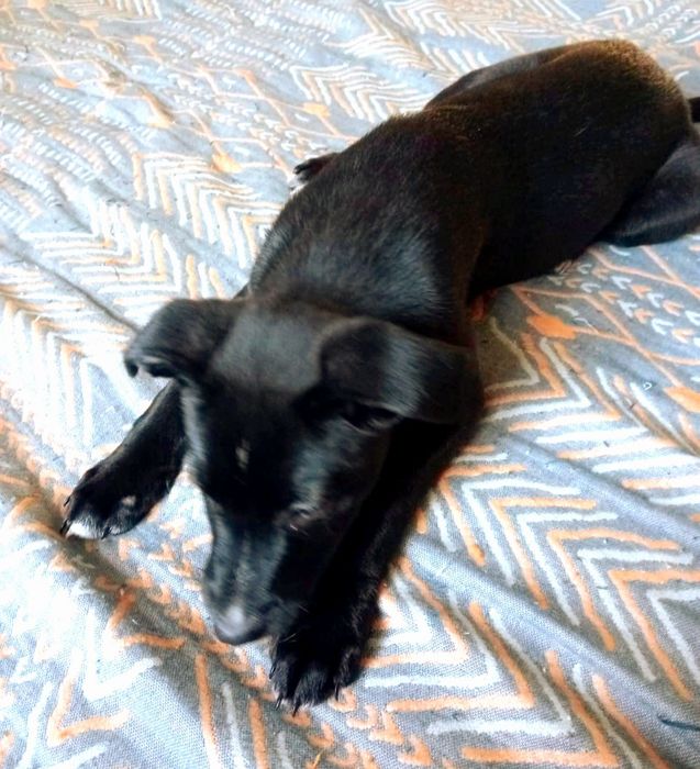 Маленькая сладость