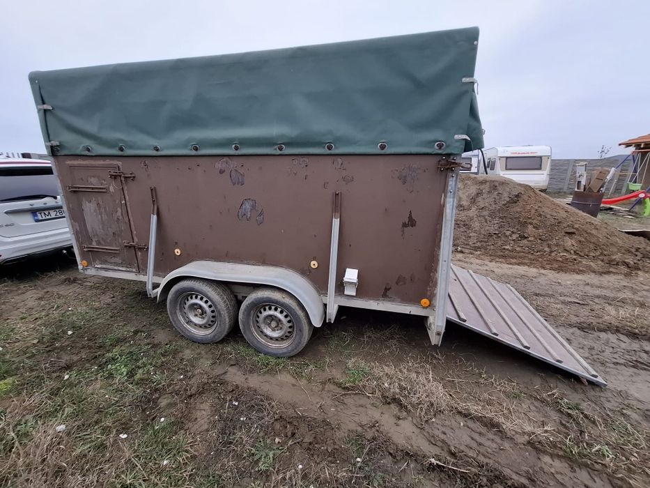 Remorcă transport animale înmatriculată, 2 rampe + ușă laterală