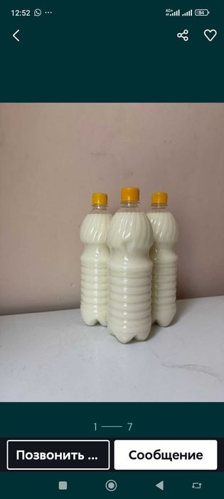 Кумыс майски қымыз