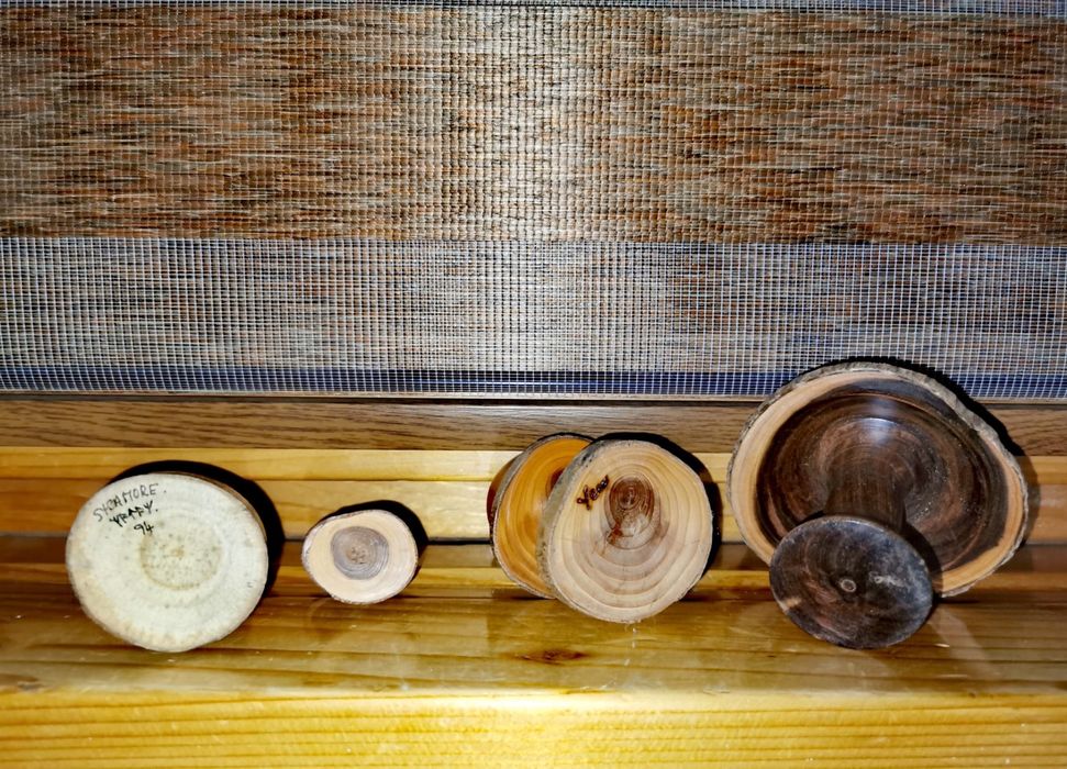 Гъби дърво Ръчно стругован дървен декор гъби - Sapele Wood 4 бр.
