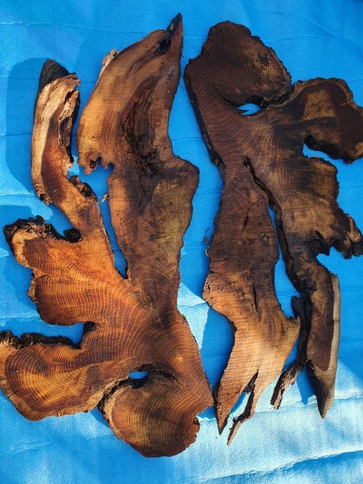 Cherestea blaturi rasină, lemn de nuc, stejar, dud, cires, ulm, paltin