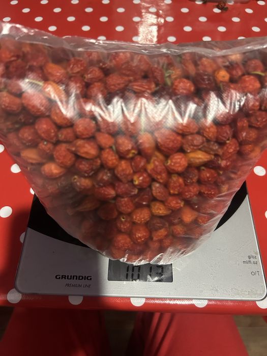 Продам дачный шиповник, боярышник