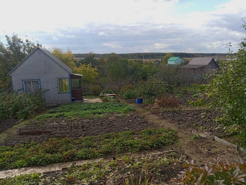 Продам дачный участок