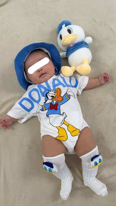Образ Donald duck