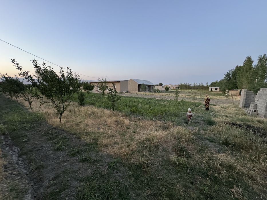 Plan soliqlari tolangan ofarmlenya muammo yoq