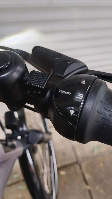 Batavus Altura -Bosch Smart