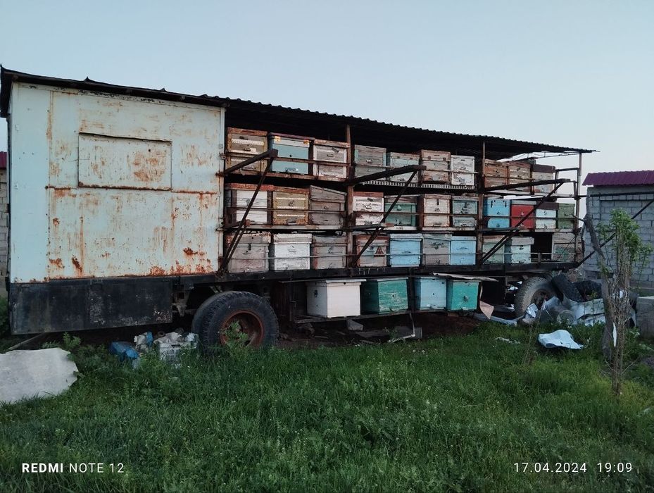 Асалари вагон. Асалари