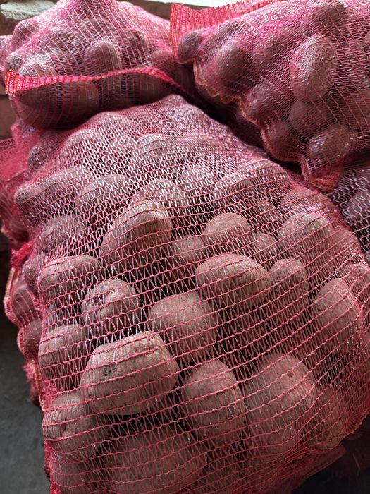 Cartofi Bellarosa consum de vanzare