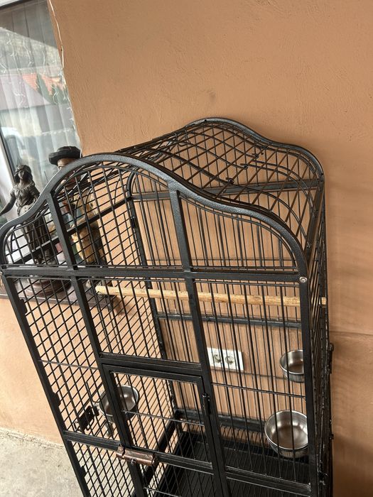 Volieră, colivie papagali