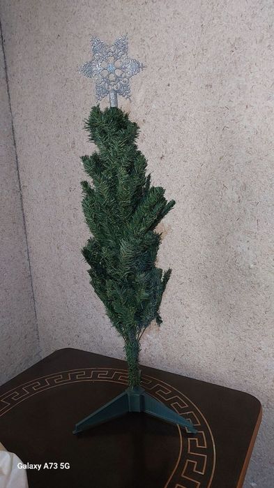 Archacha xolati yaxshi