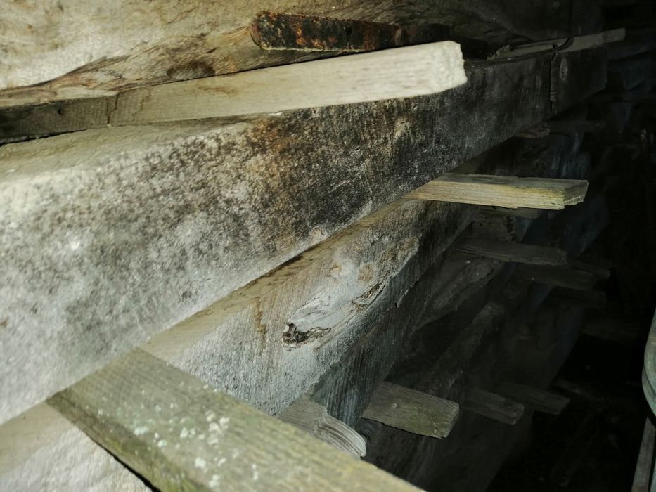 Lemn nuc 10 cm grosime