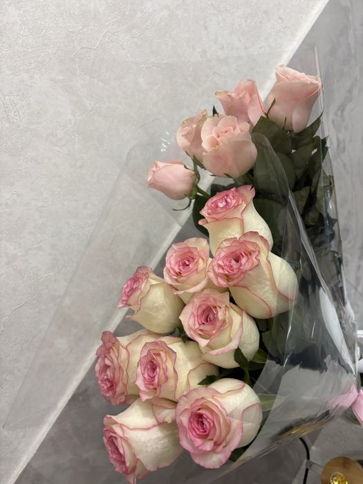 Продам цветы подарили час назад