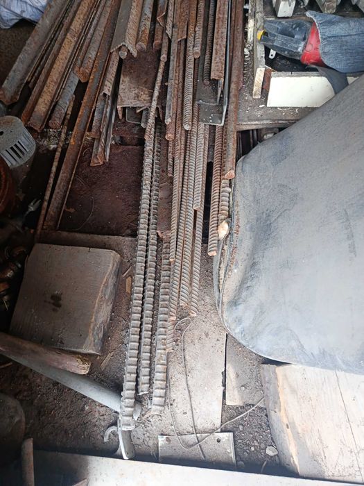 Кругляк в хорошем состоянии