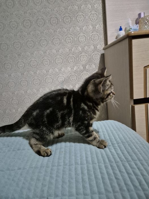 Одам за хороший  руки