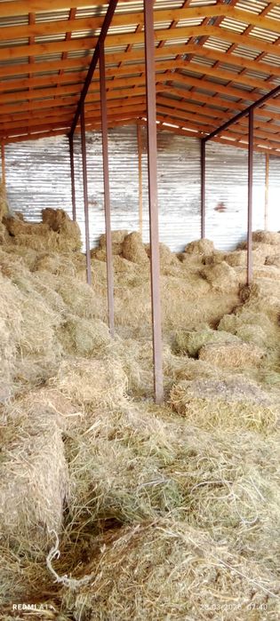 Сено разнотравье по 800