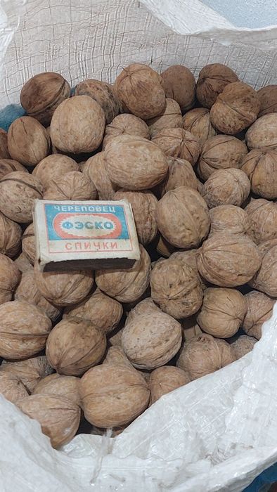 Продам орехи грецкие