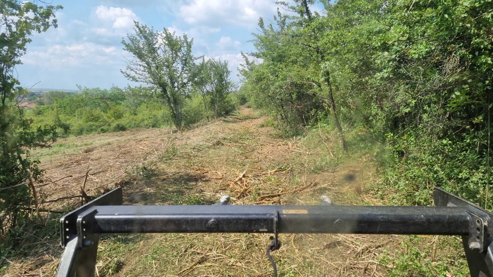 Curatare,defrisare teren, ploaia ajuta si la pret si la defrisare!