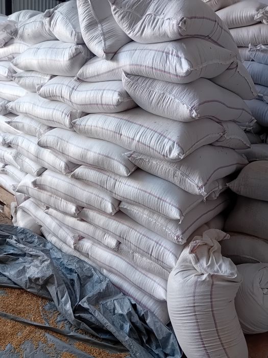 Tarate  grau -concentrate pui 100-110 lei sacul 40kg sroturi soia