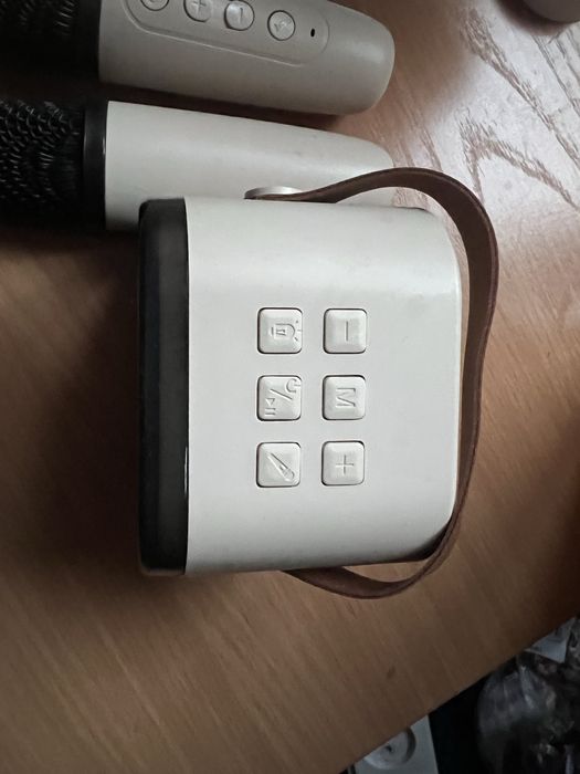 Колонка с двумя микрофонами