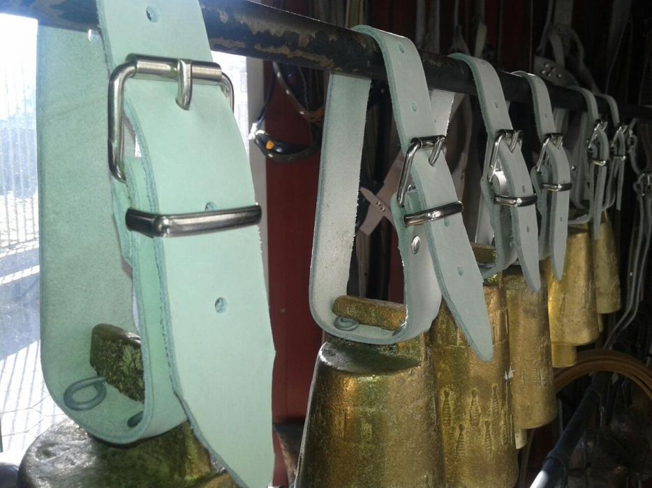 Чанове , клумбараци