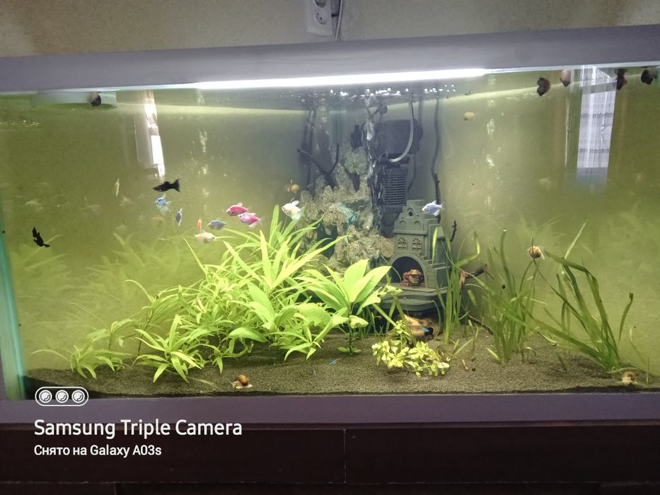 Акварюм на 300лит