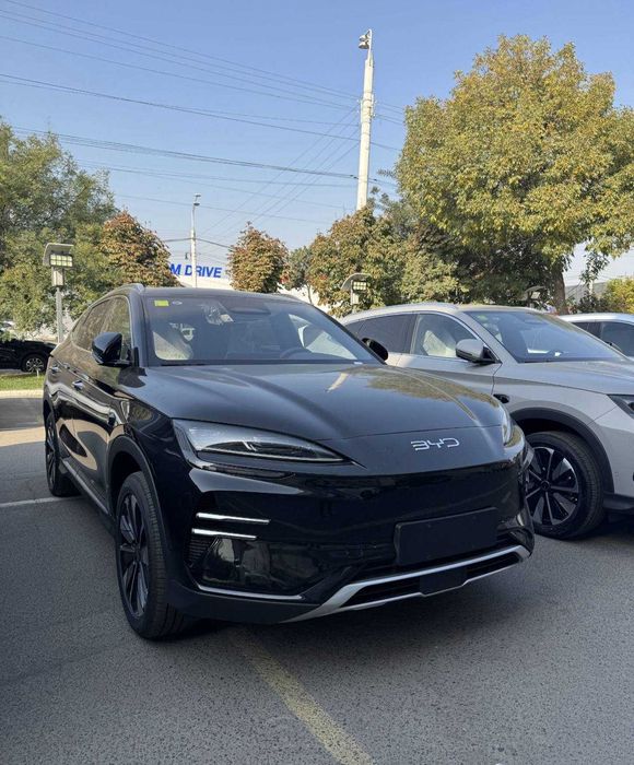 byd chempion elektr gbrit optom narx