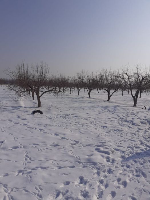 Продам фазенду в Жетыгене