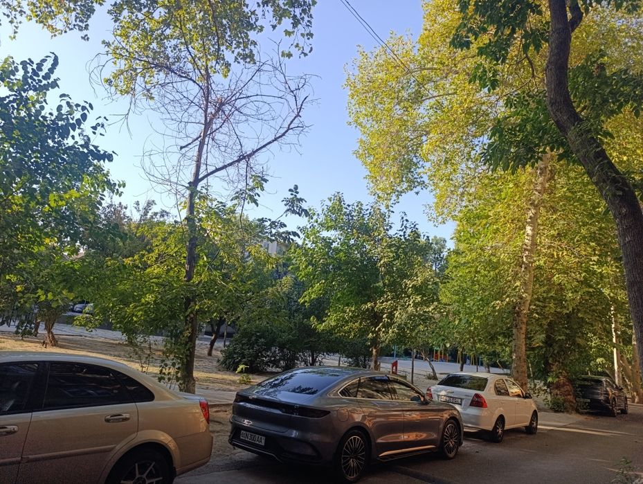 СВОЯ! Продам 2в3/2/5. 55кв.м Максим Горький метро, Художников.