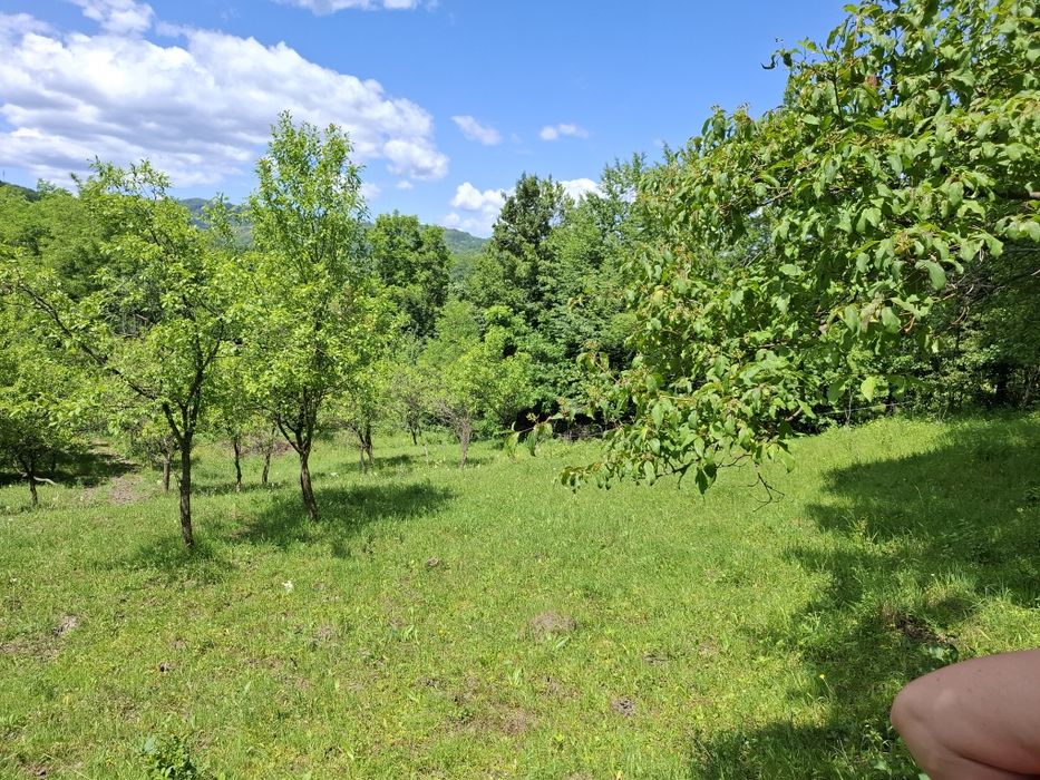 Oferim spre  vanzare teren de 5000 m.Dintre acestia 1000 m ,intravilan perfect pentru casa ta de vis sau o cabana de weekend .