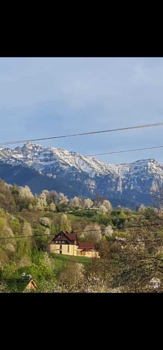 Asociat investitie imobiliara