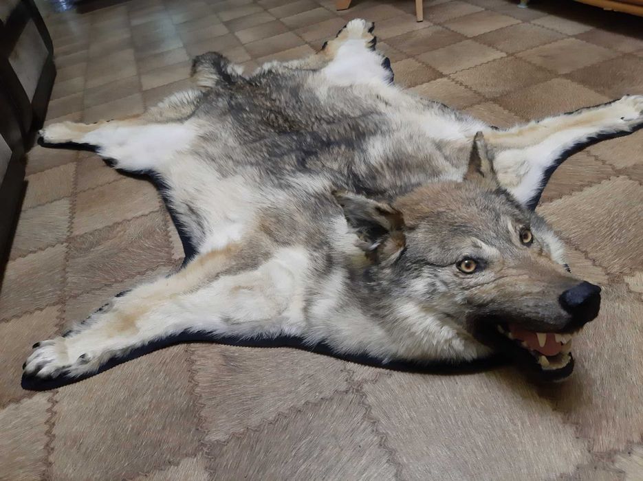 Декоративный ковер В.О.Л.К.А.