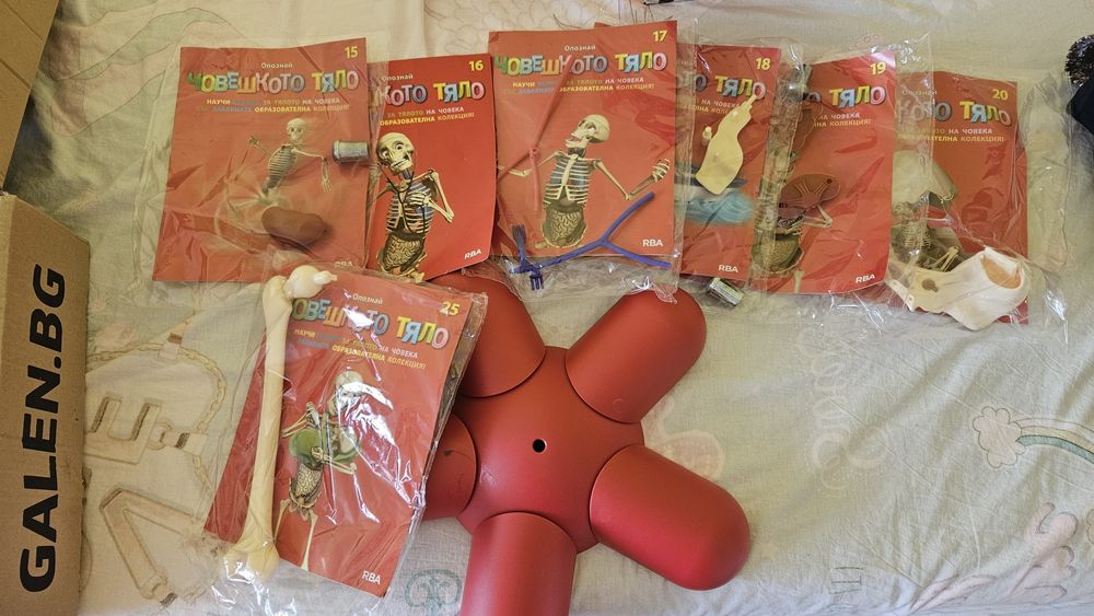 Опознай човешкото тяло