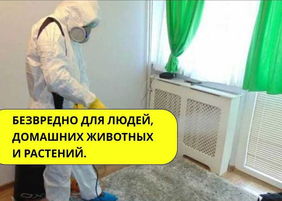 Дезинфекция от клопов | Dezinfeksiya hashoratlarga qarshi | Klapa