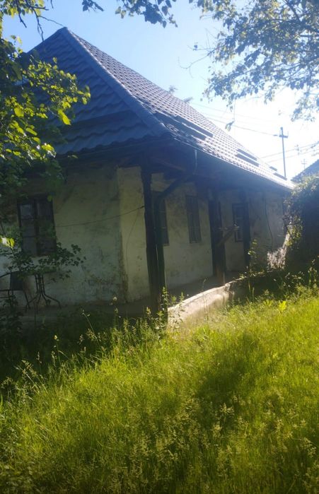 Vând casă+sura+teren 86 ari intravilan in Buciumi