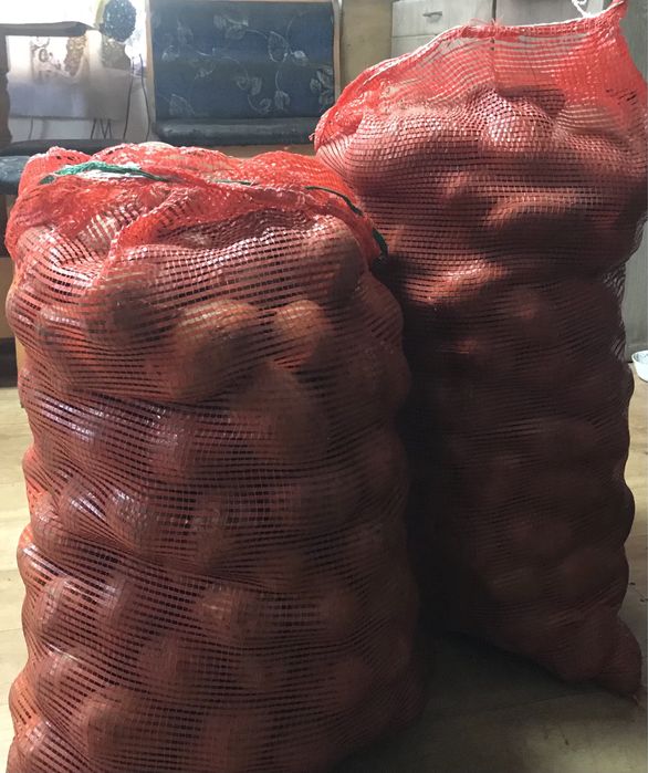 Домашний картофель