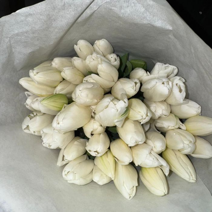 Тюльпаны Алматы низкие цены